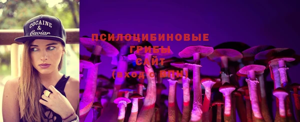 прущая мука Алексин