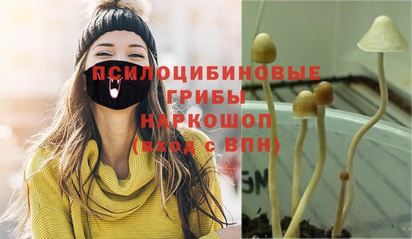каннабис Алексеевка